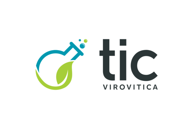 TIC Virovitica – Logo